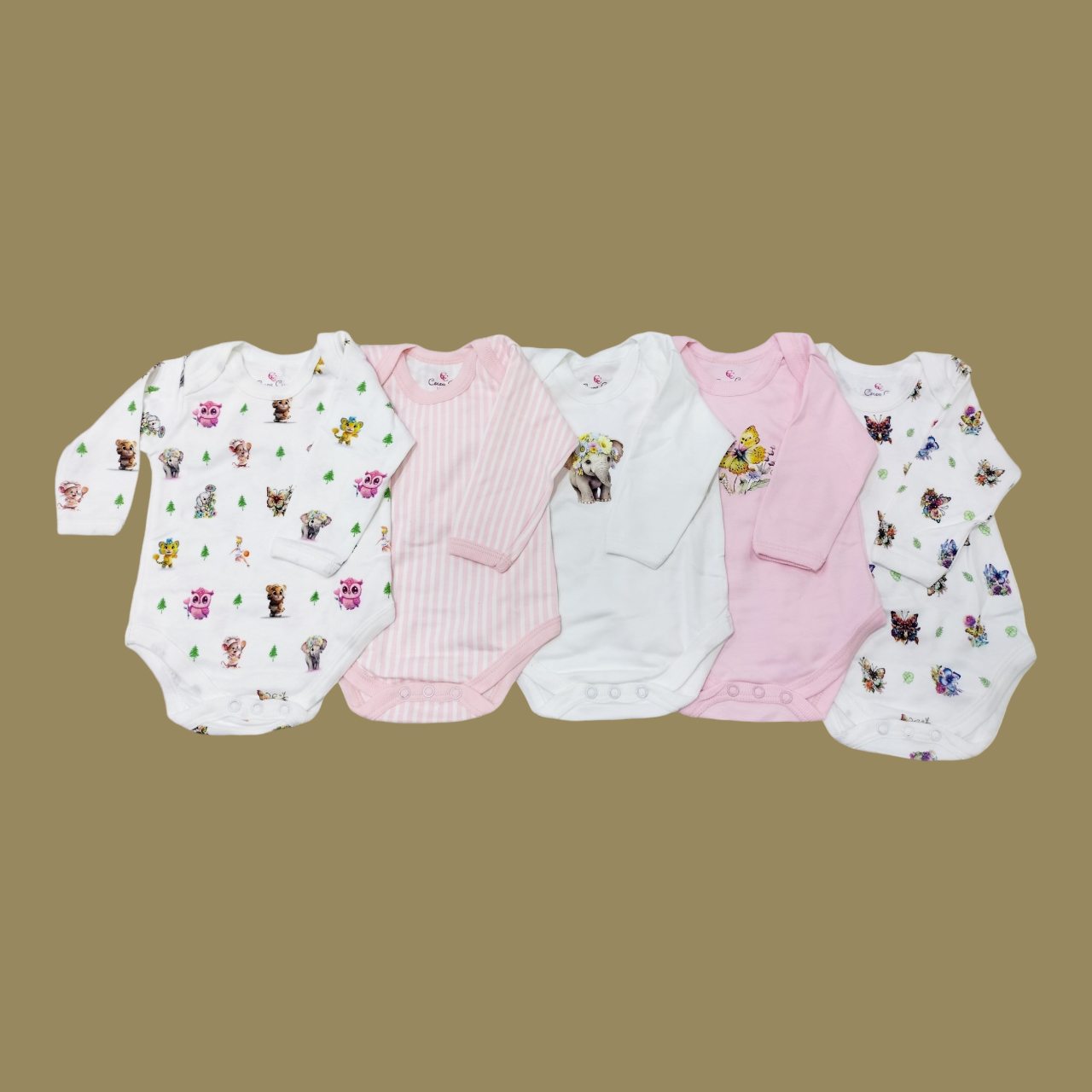 Pack of 5 infant bodysuits